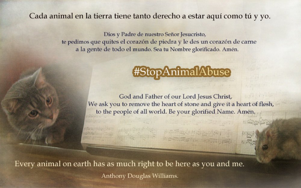 girasol2201's tweet photo. @SilviaMylo #EndAnimalCruelty 
#StopAtrocity #ExposingTheAtrocities https://t.co/IHDmqoRY8c