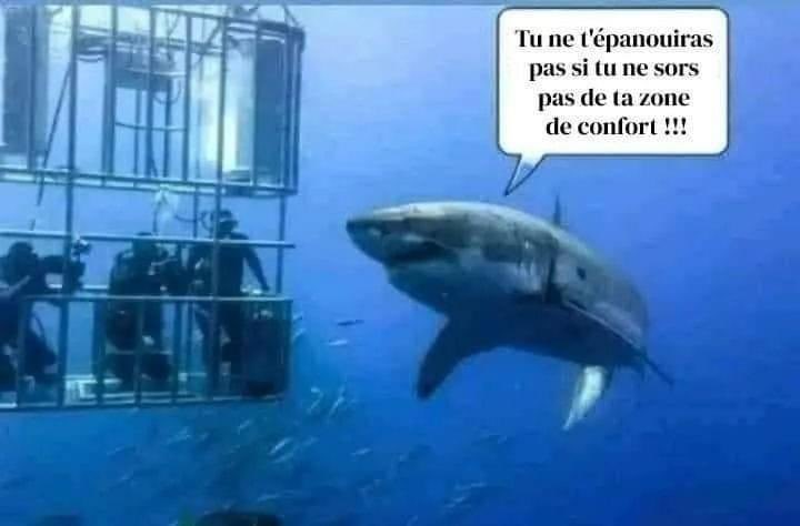 Mais bien sûr !!!… 😂😂🤪