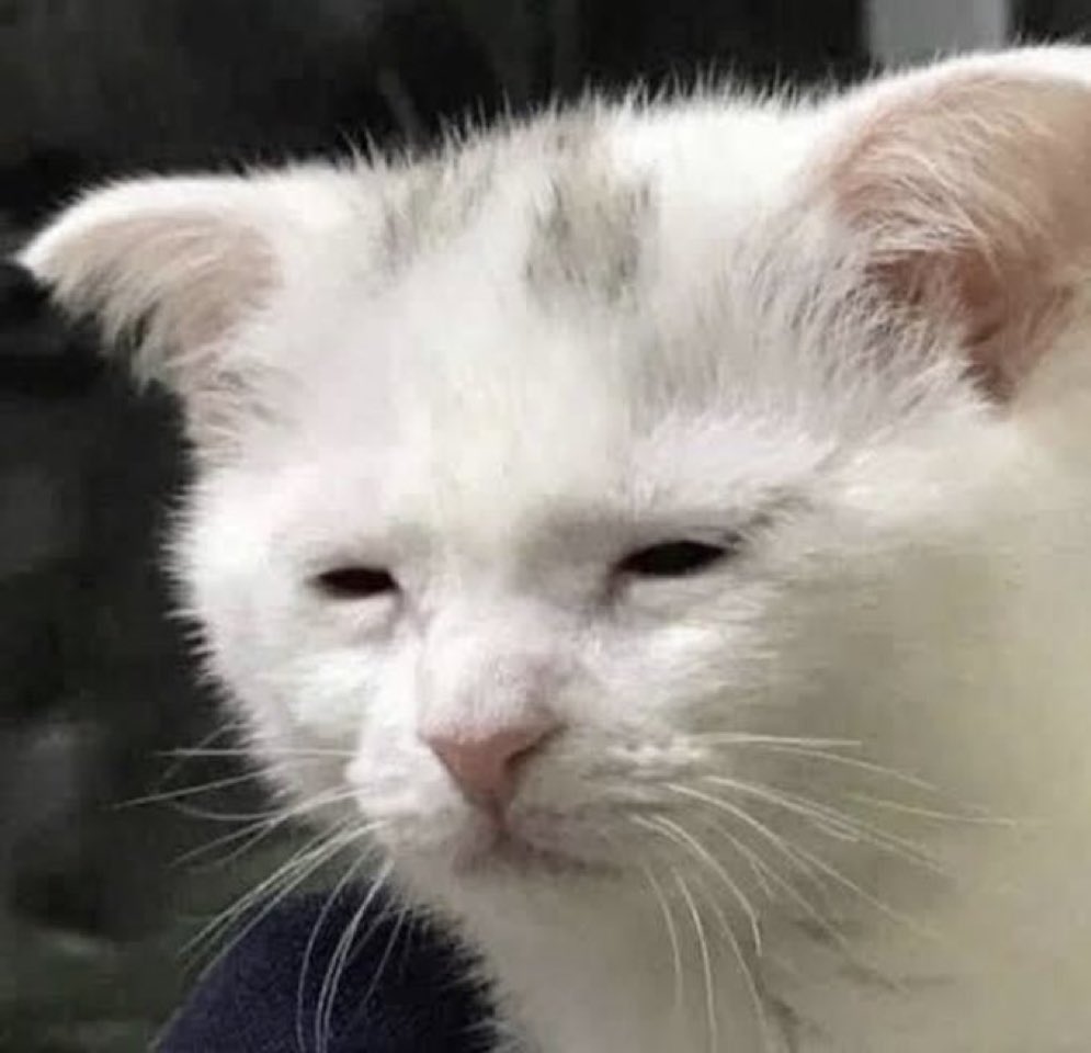 cuando ya diste todo de vos y recien es martes