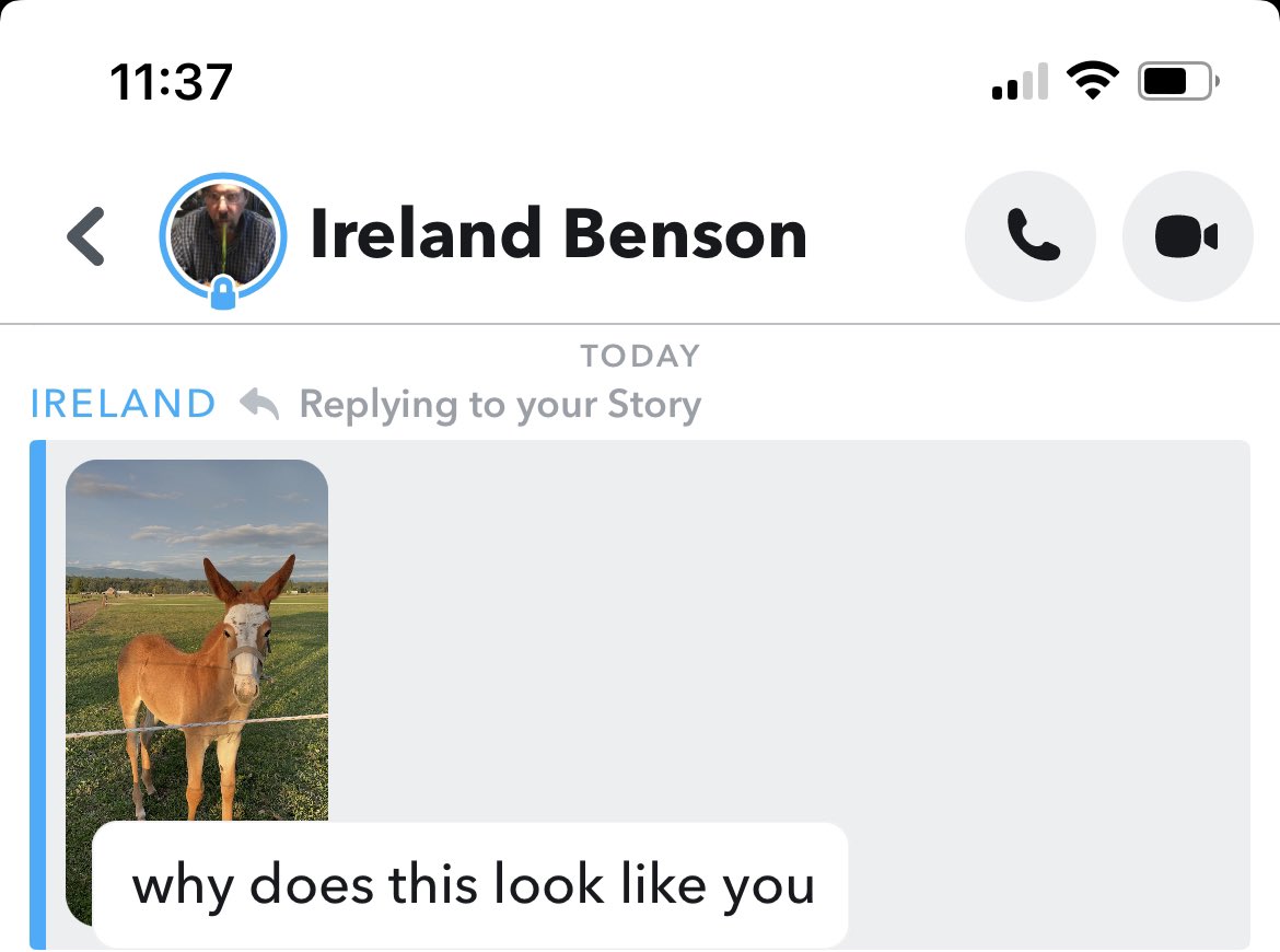 studpuffinn's tweet image. sisters will keep you humble