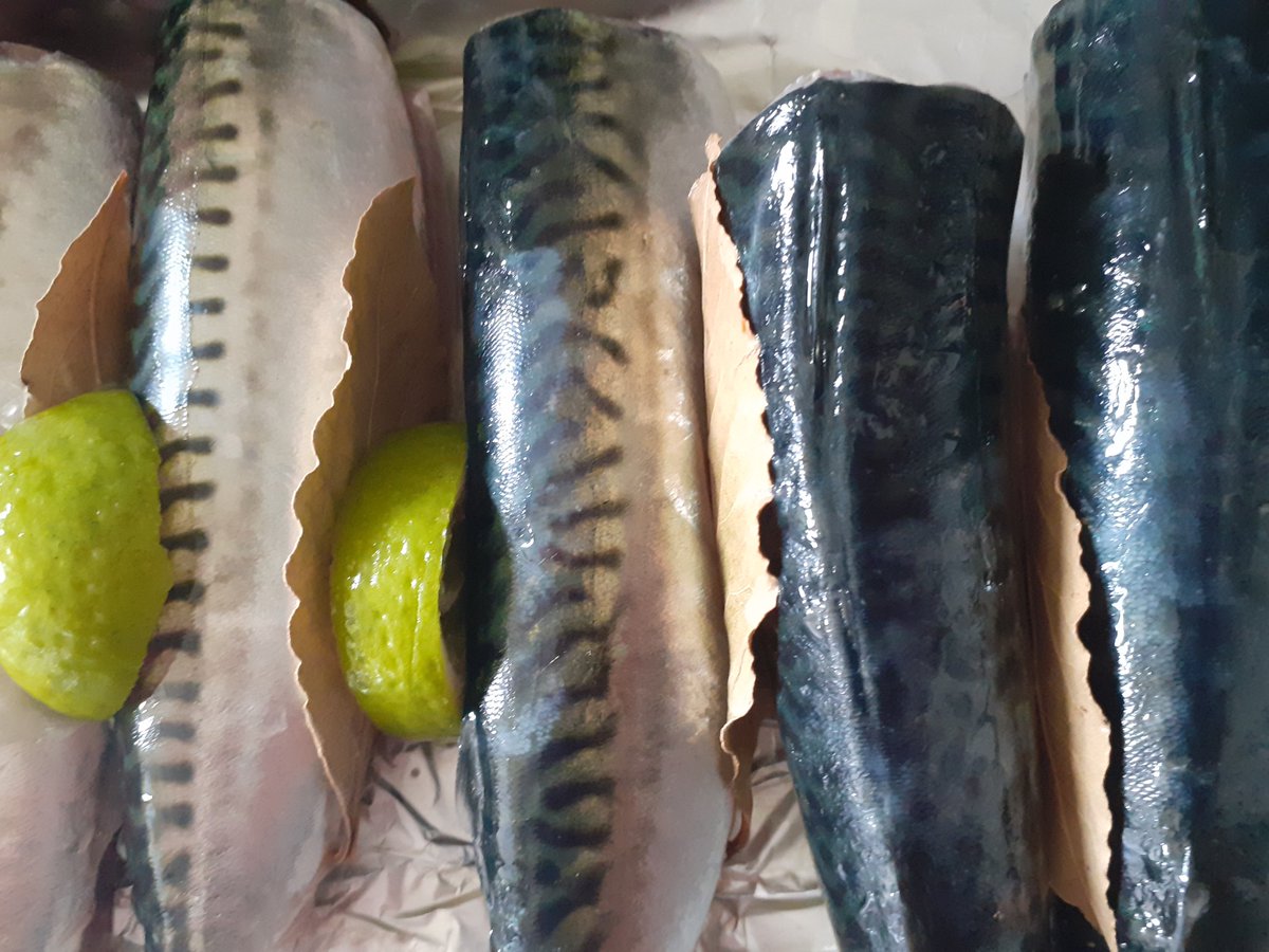 Dinner! From sea to oven within 30 minutes. Gifted my kindly neighbour here on the Croft #kylesofbute #fastfood #scottishseafood #mackerel #foodforfree #argyllsecretcoast