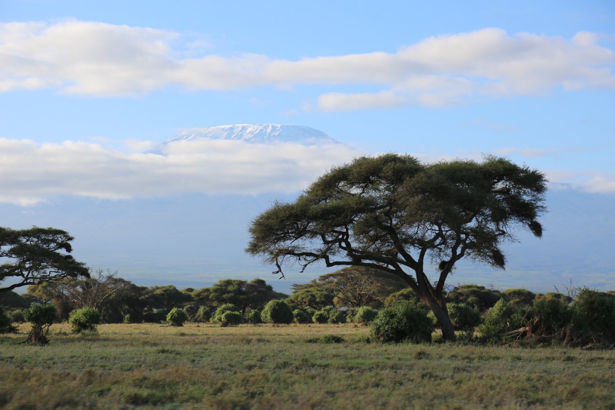 PhotosForTrees's tweet image. #TreesofKajiado #acaciatrees #kajiadocounty