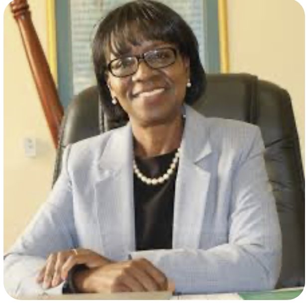 Nick Mangwana on Twitter "“Dr. Agnes Mahomva exceptionally coordinated