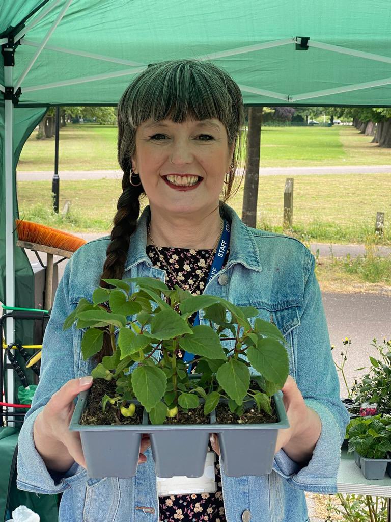 tracydearing70's tweet photo. Here’s some pics from our brilliant Hanging Basket events! Thank you to all our residents who participated! @Hull_Labour https://t.co/tZgaYlgRiQ