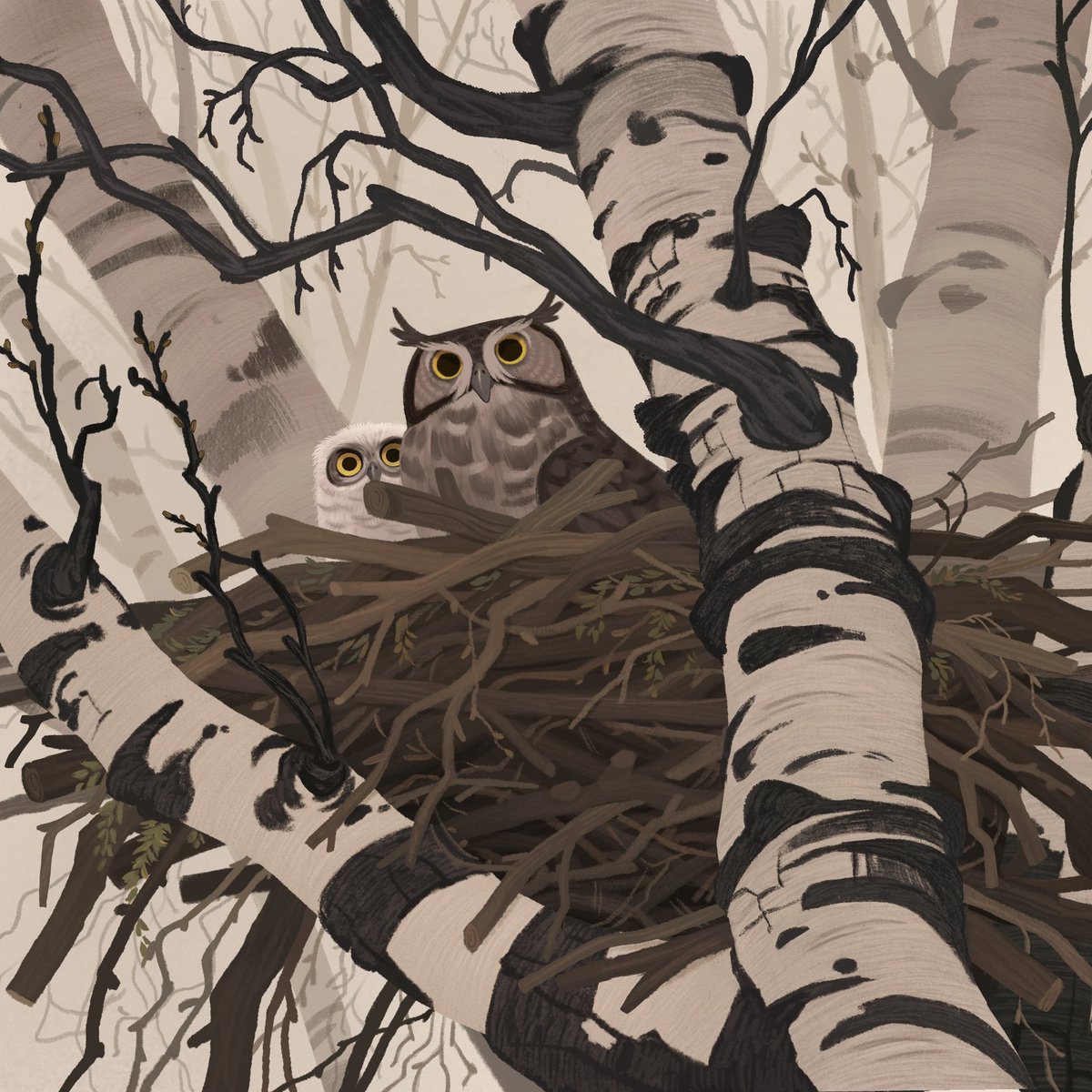 NaviiraArt's tweet photo. ✨ Hi #PortfolioDay ! I’m an artist in love with the natural world and the wildlife that call it home. I do freelance and am looking to eventually get into illustrating picture books! 🌿 https://t.co/SdjhZjHCgi