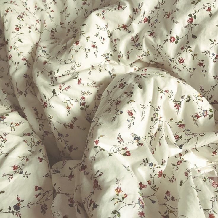 ⋆ 𓆩♡𓆪 ⋆ tweet media