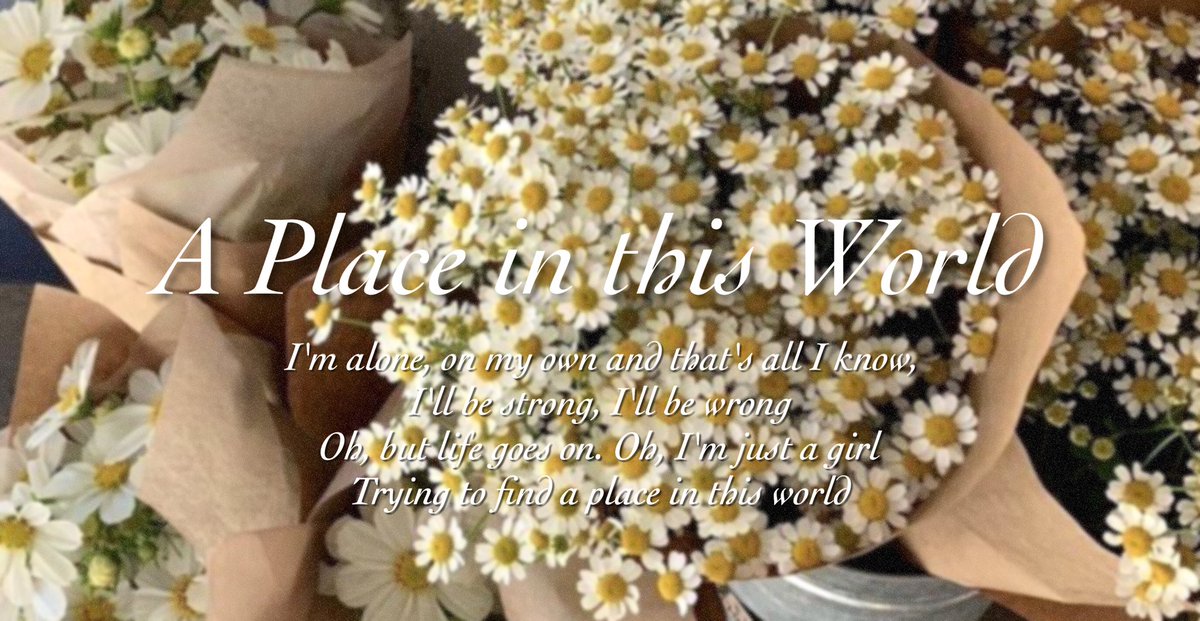 ⋆ 𓆩♡𓆪 ⋆ tweet media