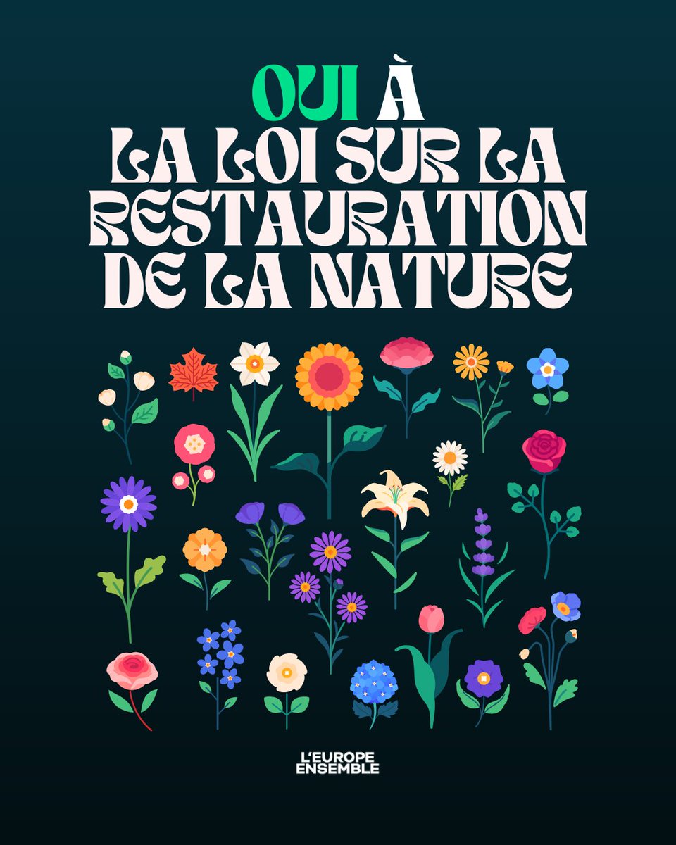 Cette semaine le Parlement 🇪🇺 vote une loi cruciale sur la restauration de la nature. ✅ Oui, nous soutenons cette loi qui doit permettre de restaurer 30% des écosystèmes en danger d’ici 2030 en Europe. ✅ Oui, nous soutenons l’ensemble des textes du Pacte vert européen depuis