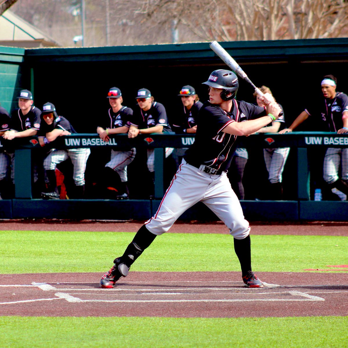 BluejaysAlways's tweet image. With the 394th pick in the 2023 MLB draft our #BlueJays have selected OF Brennan Orf from Southern Illinois University. 

A lefty bat, he hit .351 with a 1.265 OPS, 19 homers and had 48 RBI over 53 games this season. #NextLevel