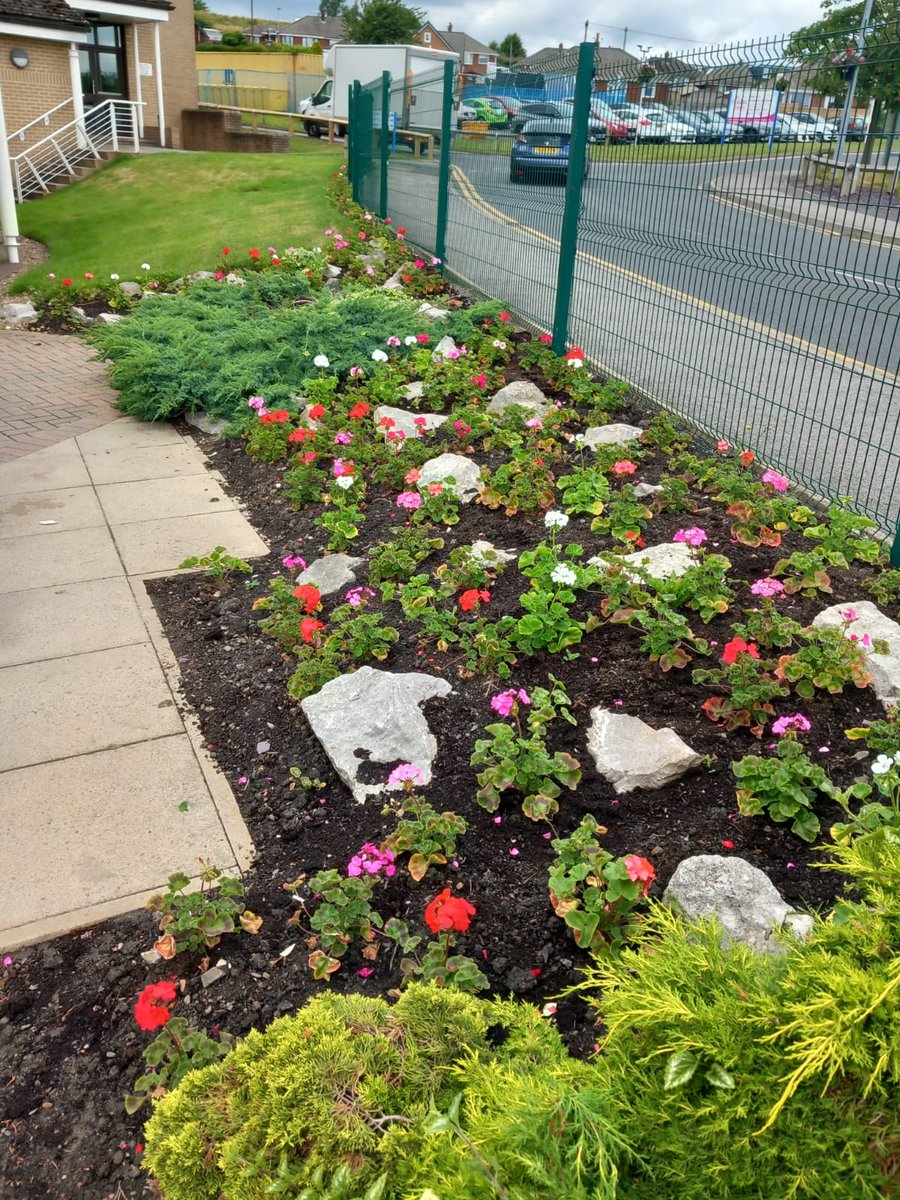 Over the last few weeks the Grounds Team have installed 80 hanging baskets, 16 railing baskets and planted 3000 geraniums across all 3 hospital sites. Kindly donated by @sign_wright and @RsEarth. @MidYorkshireNHS @MY_NHSCharity @MYHTGardens