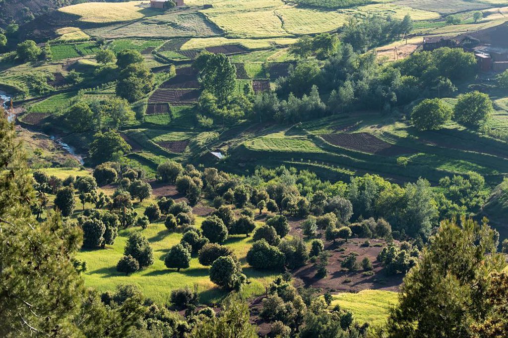 coherence_e's tweet photo. Paysages époustouflants, couleurs vives, lumière intense… le #Maroc est un véritable paradis pour les amoureux de la nature. https://t.co/vMzq2elliM