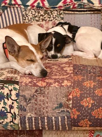 Beth Petracco tweet media