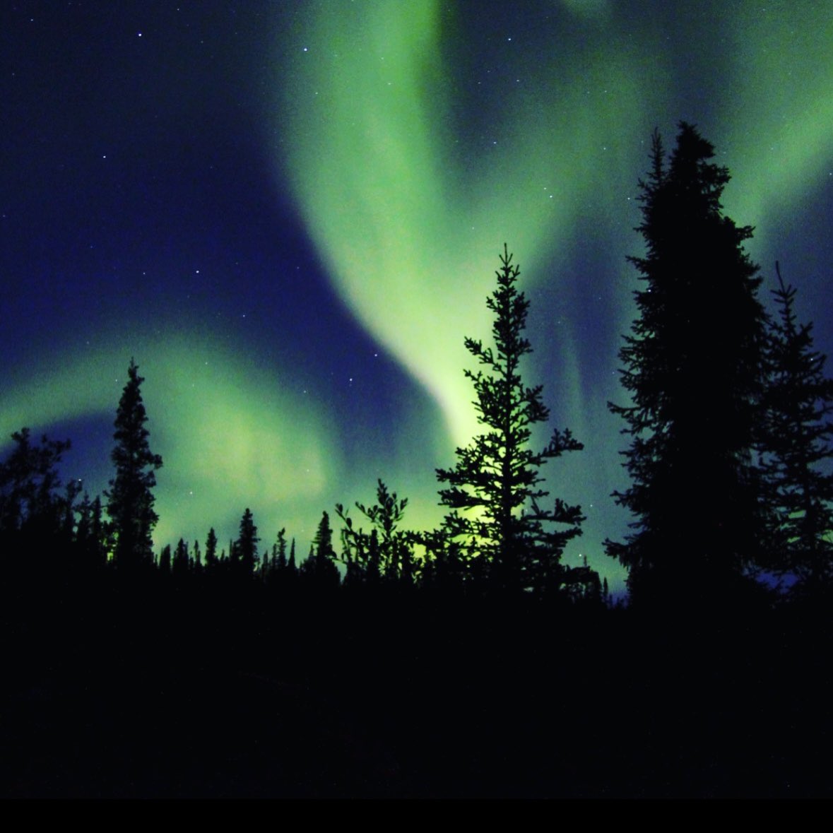 ATL By Night tweet media