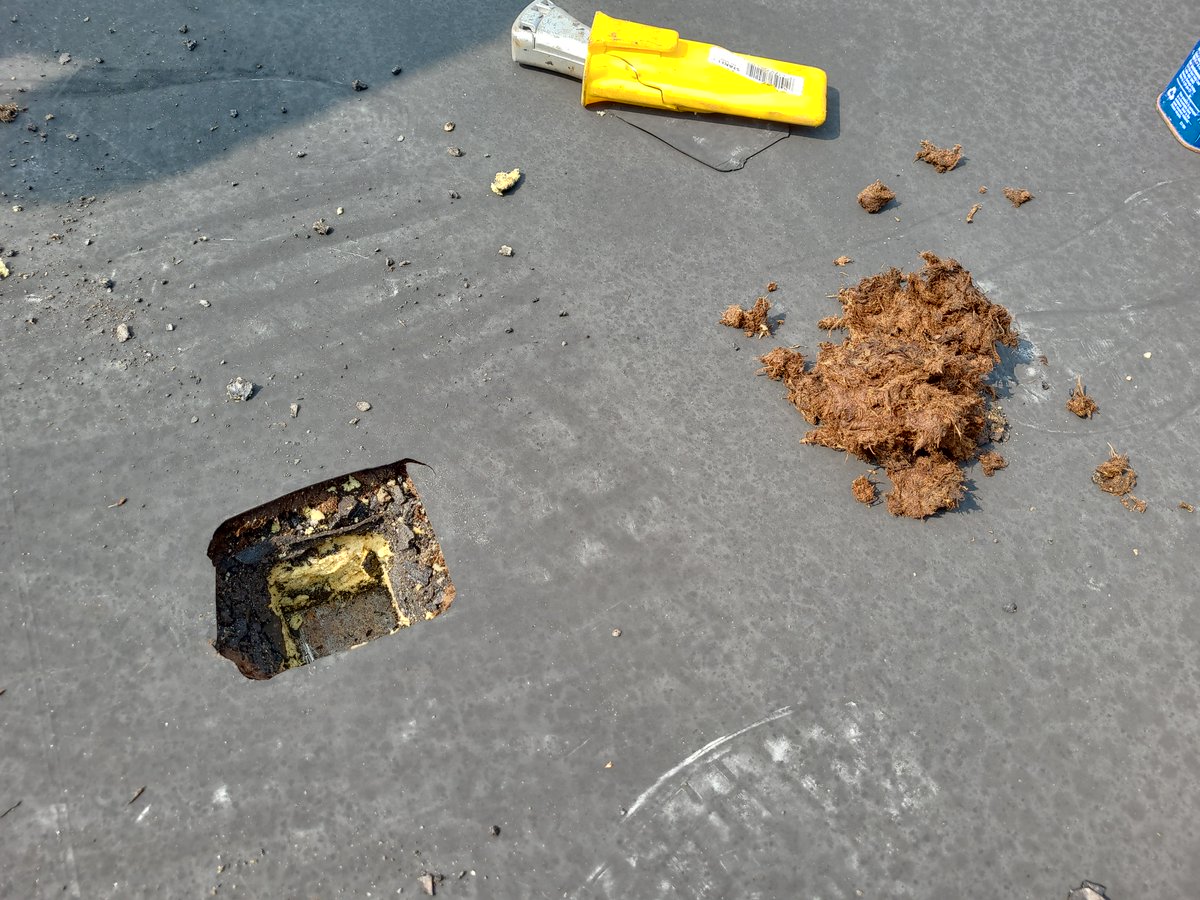 LibertyInspects's tweet image. Core sample on a commercial roof. This test involves cutting and removal of roofing layers until a structural deck is reached. #coresample #libertyinspectiongroup #commercialinspection #commercialinspector #homeinspection #homeinspector