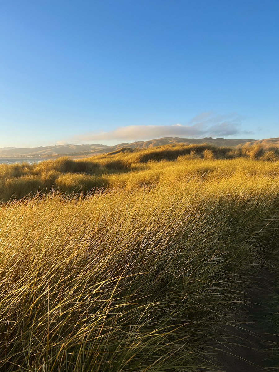 Coast camping for the bday weekend