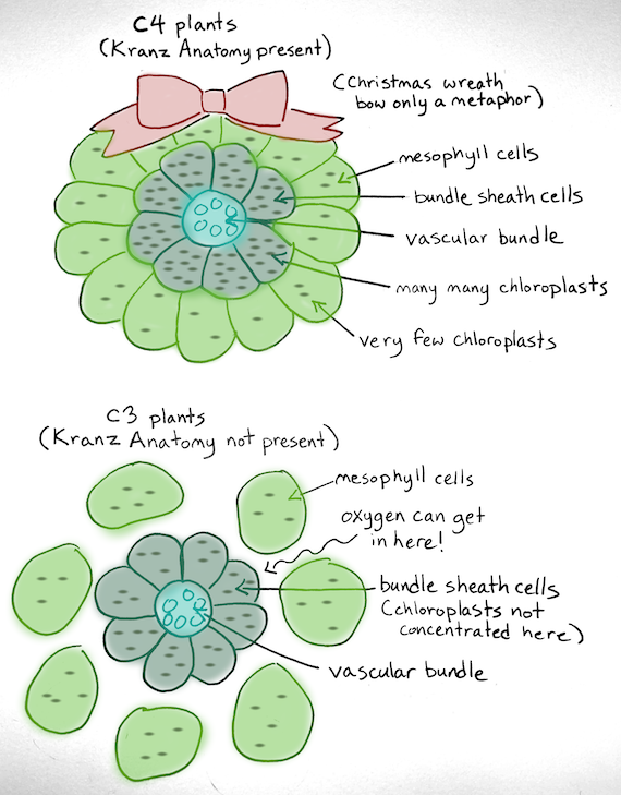terian 💀💾🌸 tweet media