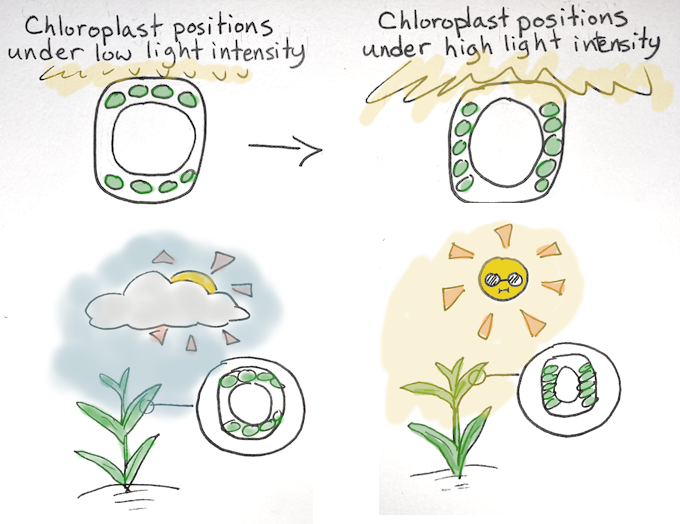 terian 💀💾🌸 tweet media