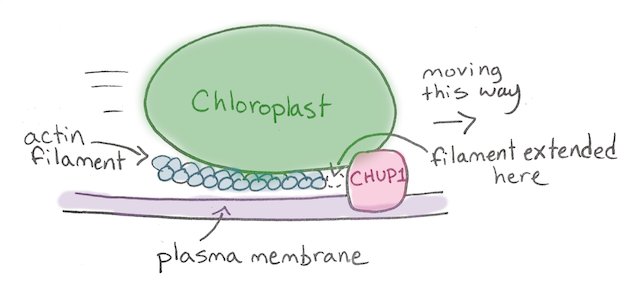 terian 💀💾🌸 tweet media