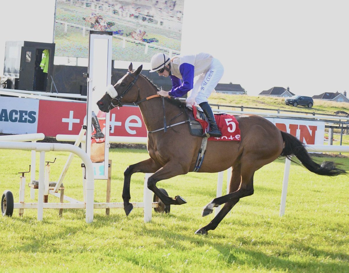 PimlicoRacing's tweet photo. ZOFFANY BAY wins the inaugural running of the @TramoreRaces Derby for @PeterRacing ridden by @BenCoen2 🏇

A special horse 💜 #TheZoff 

Congratulations to all of his owners - we’re delighted with his victory!

📸 @PCequinephoto https://t.co/8zQQxOucYg
