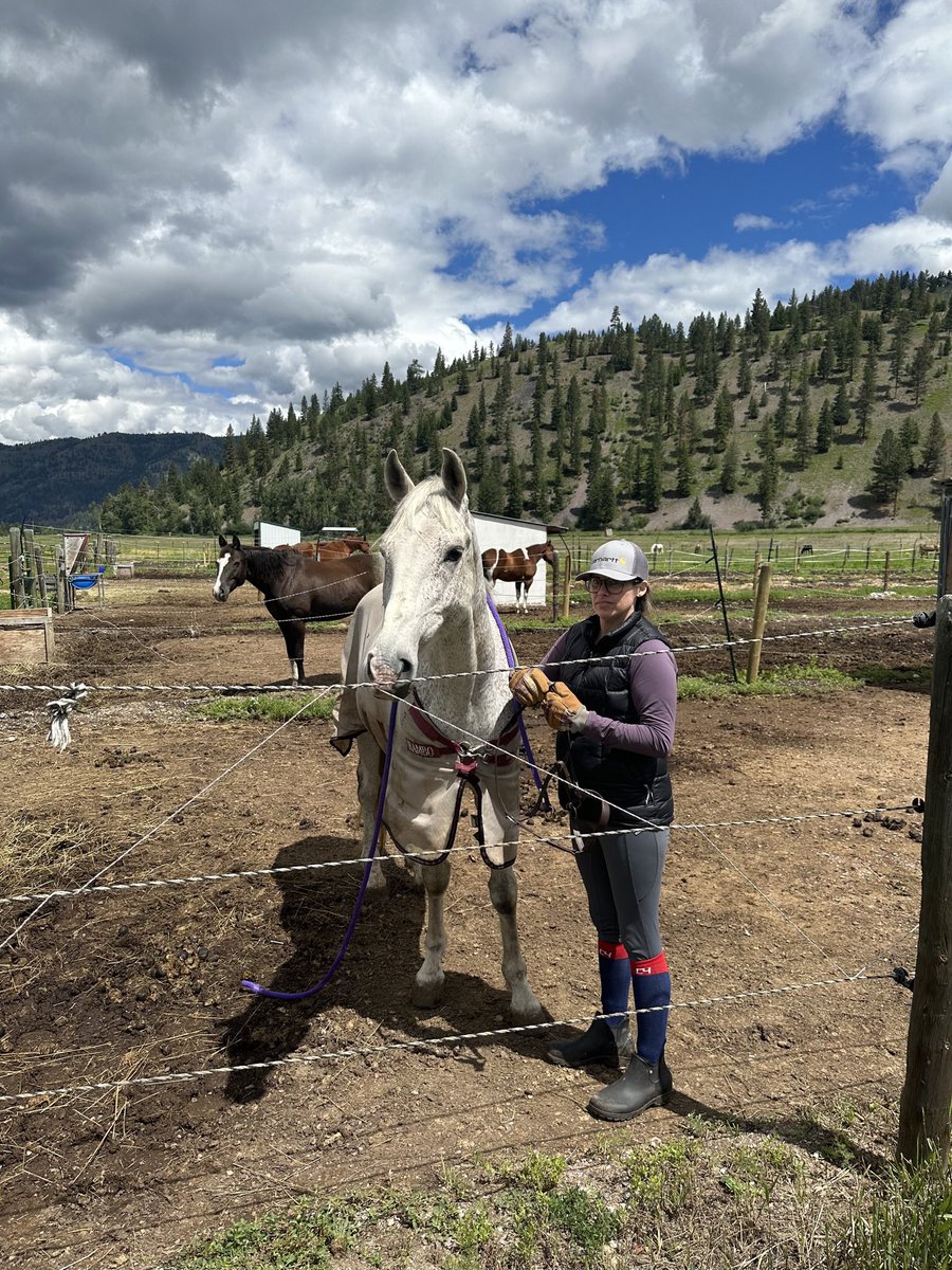 Mara Averick tweet media