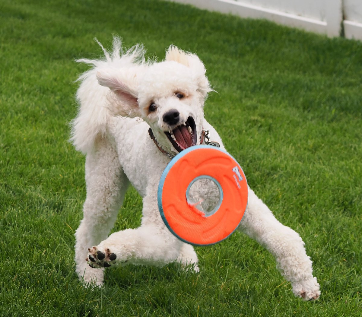 Michael Cummings tweet media