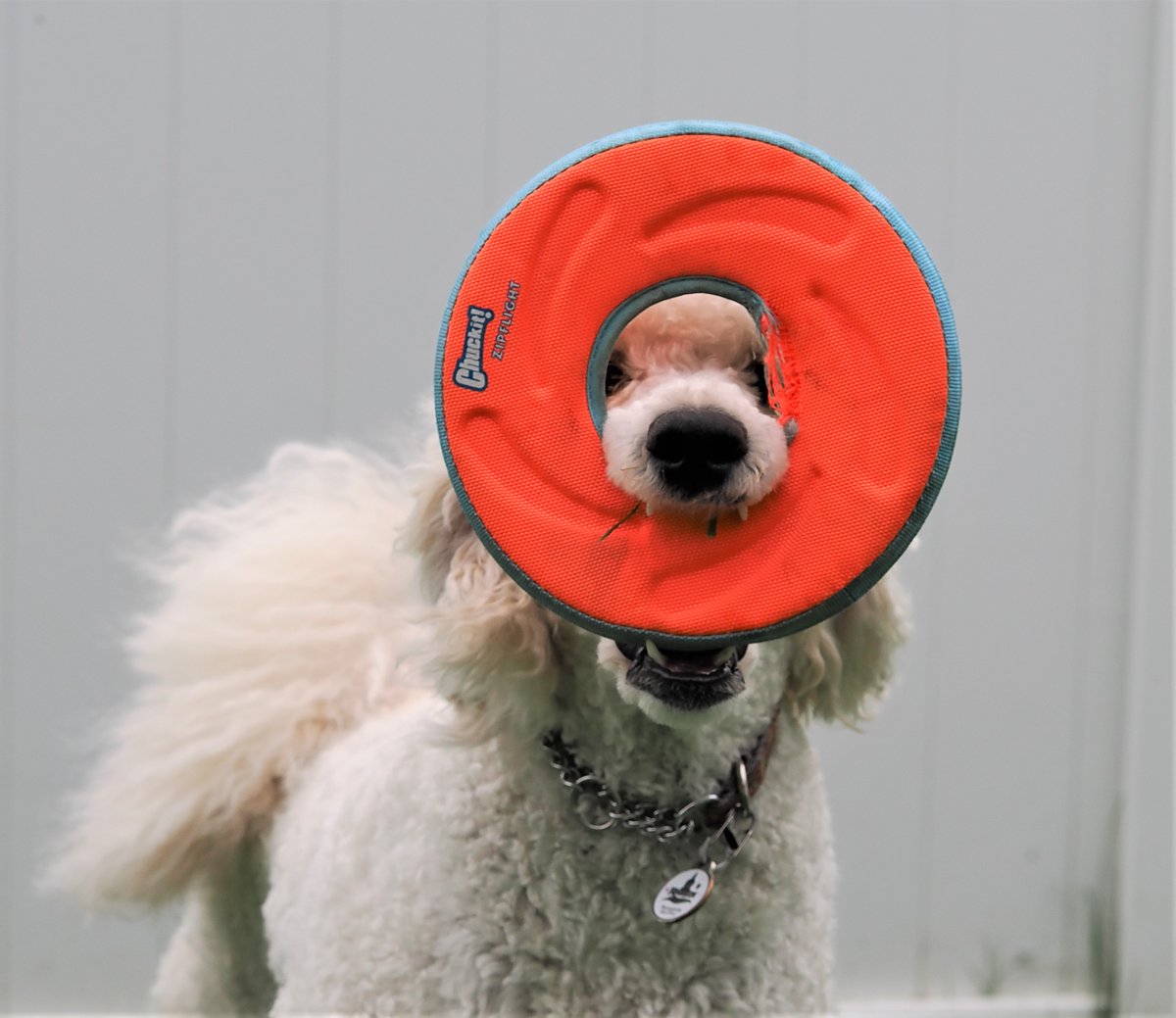 Michael Cummings tweet media