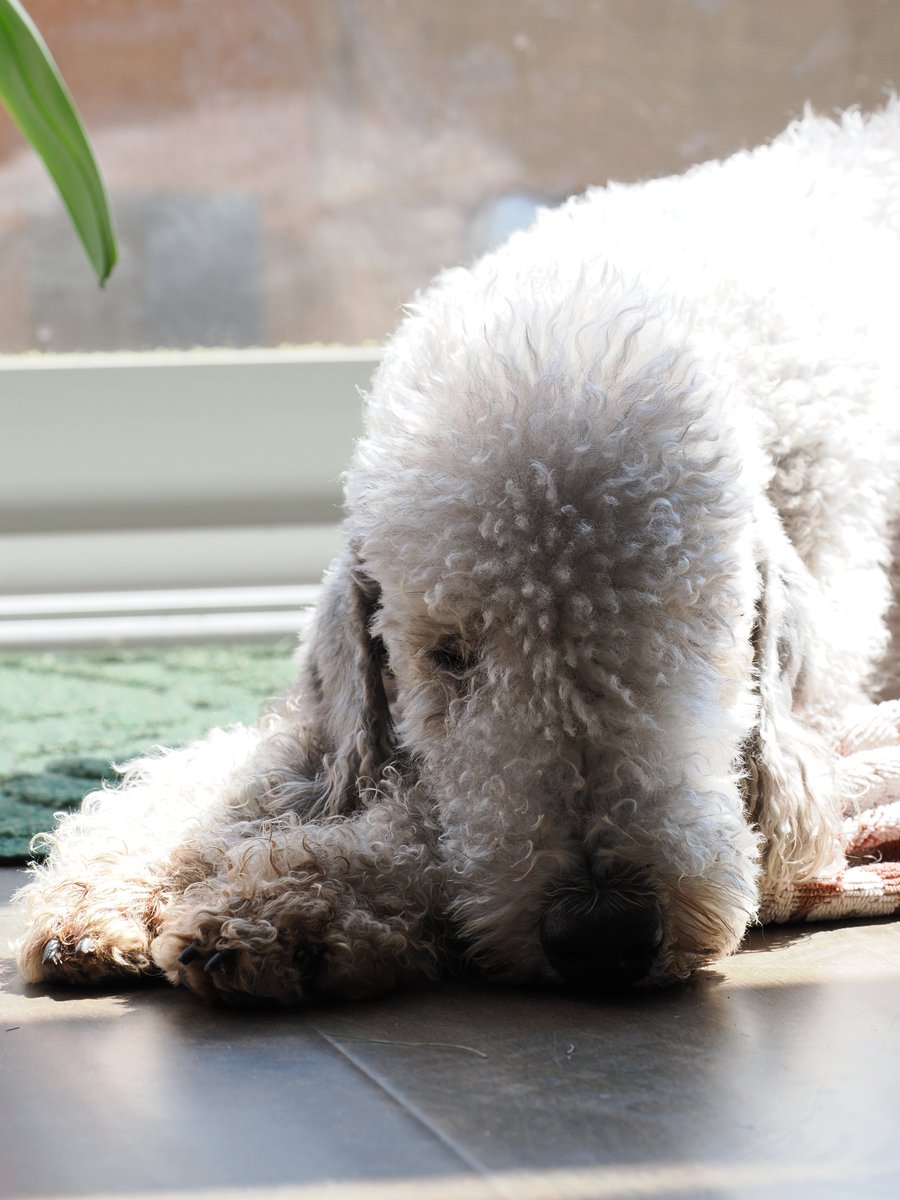 Michael Cummings tweet media