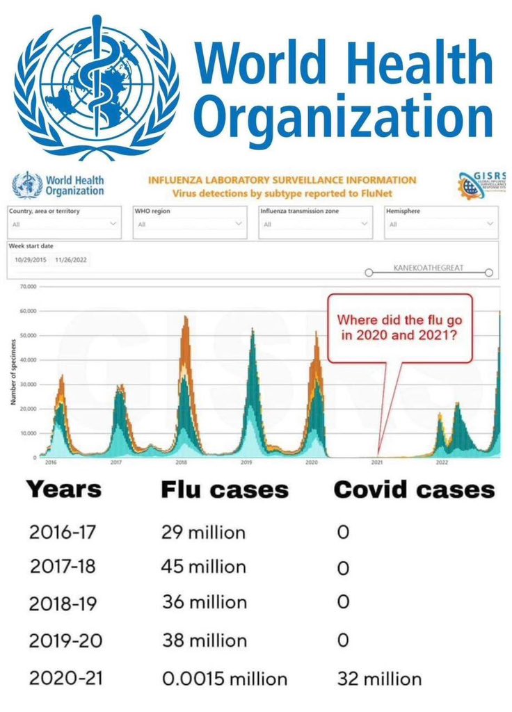 goddek's tweet photo. I bet $1000 that the flu has simply been given a new label in the year 2021. https://t.co/zLFwGwmNHG