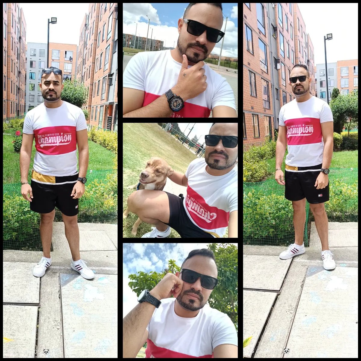 carlosuseche590's tweet image. Feliz noche. 🐼✨