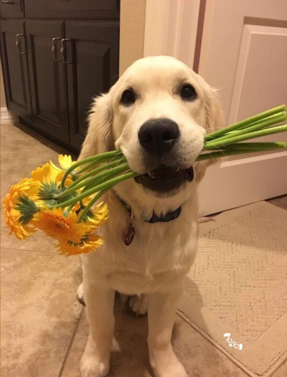 twaniimals's tweet photo. https://t.co/VZNA4cmHKV