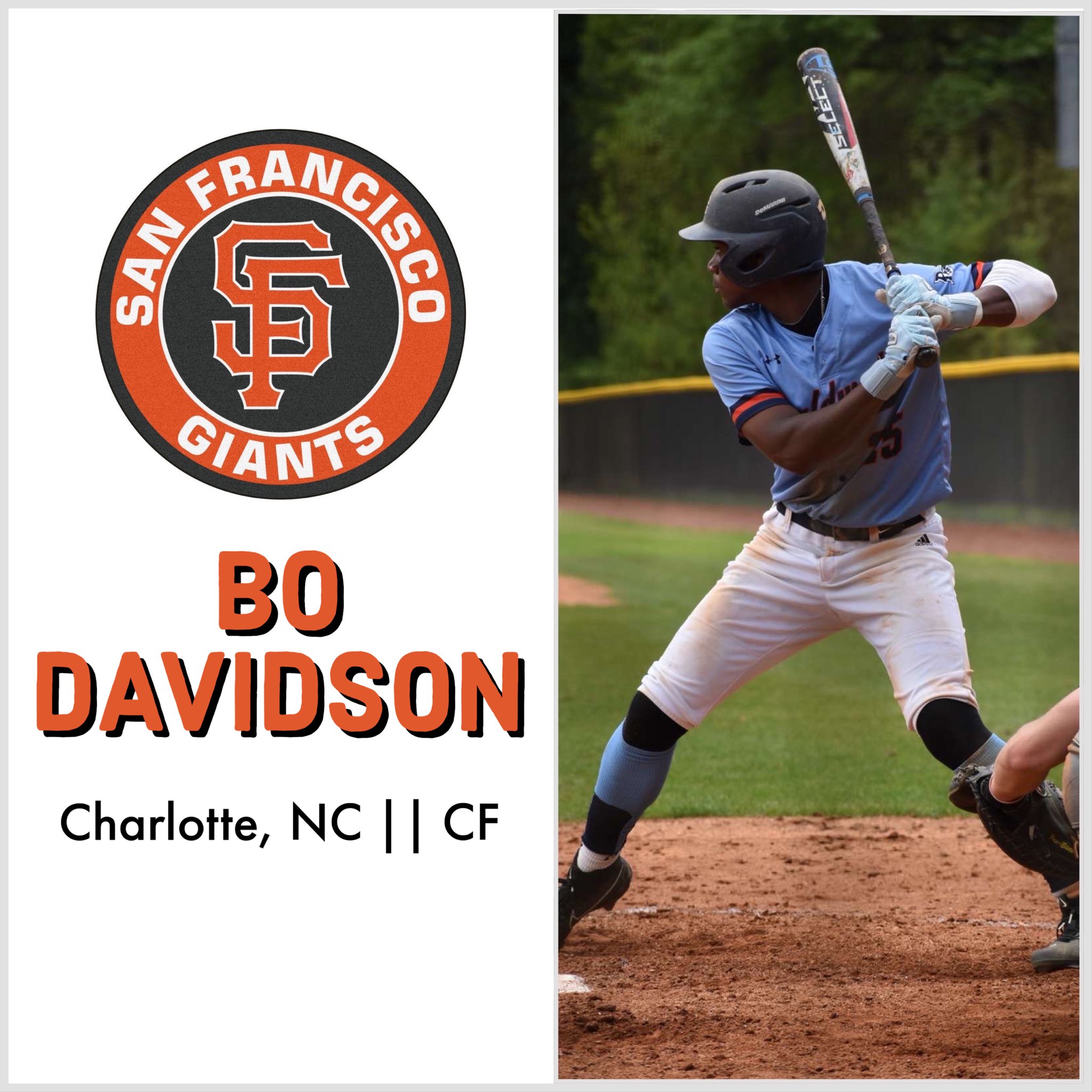 Davidson baseball cheap
