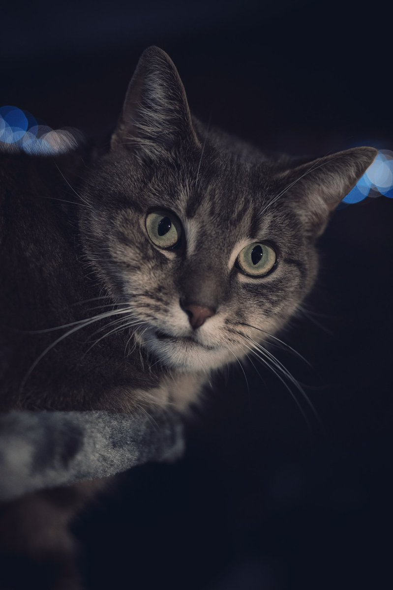 njpegeth's tweet photo. @Lightroom https://t.co/MnHEbHHZry