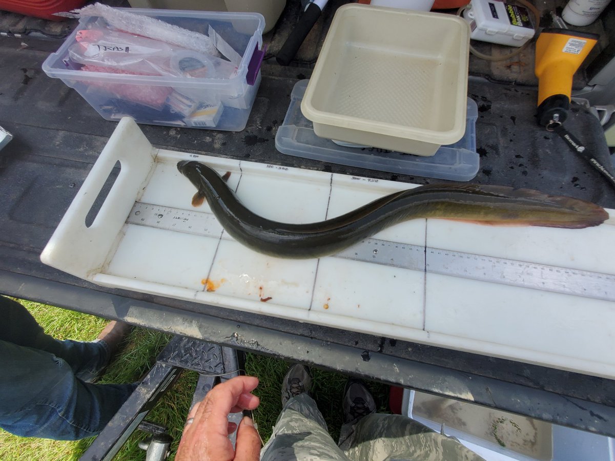 Aaron Henning tweet media