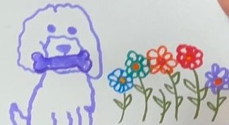 new garden update ft. lucy🌷🌻🌹