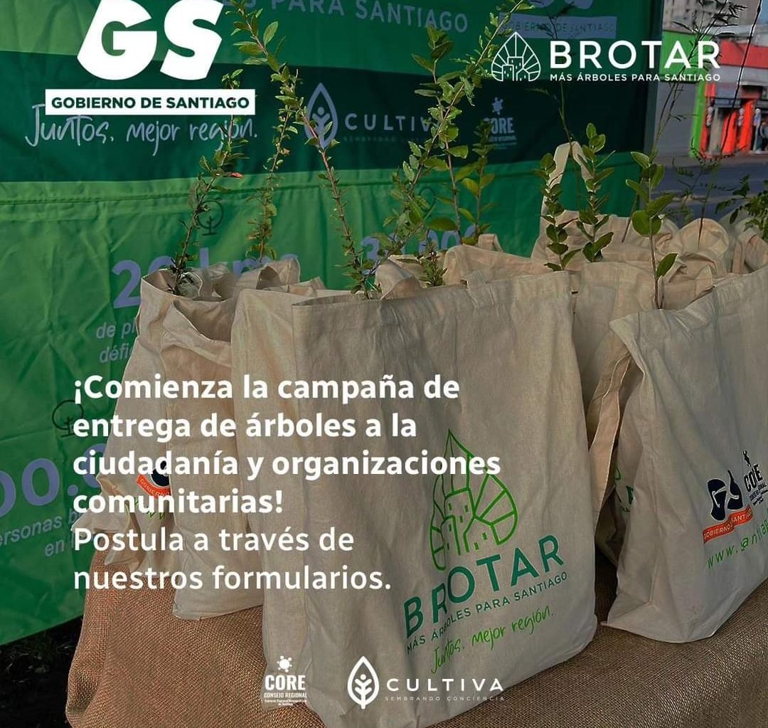 Muni_LaCisterna's tweet photo. 📢 Informamos a l@s vecin@s de #LaCisterna que ya está disponible el  formulario de postulación para la  entrega de árboles a la ciudadanía y a organizaciones comunitarias, como parte del #ProgramaBrotar🌿  @Gob_Santiago  inscripciones  en https://t.co/dvBZcSPPWi https://t.co/iqY39T48R9