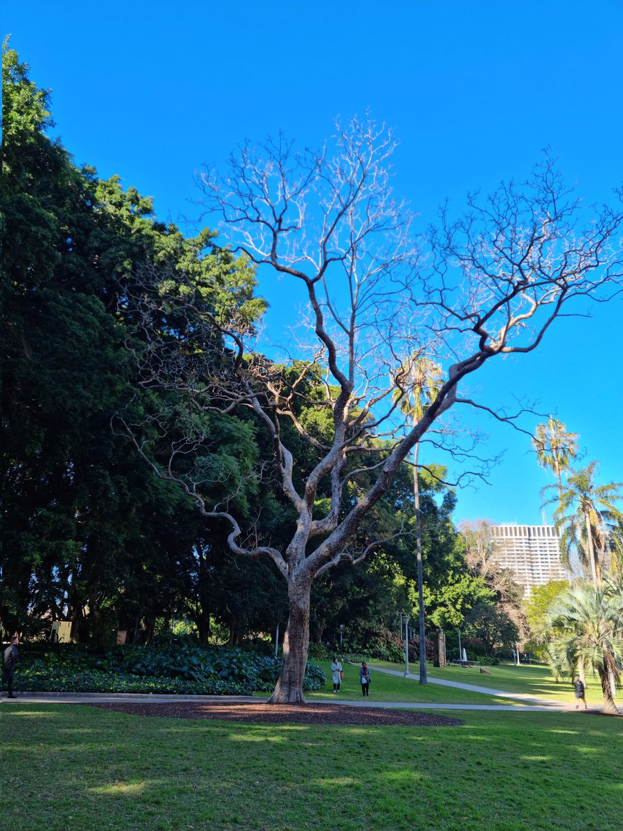 beautiful morning for a walk