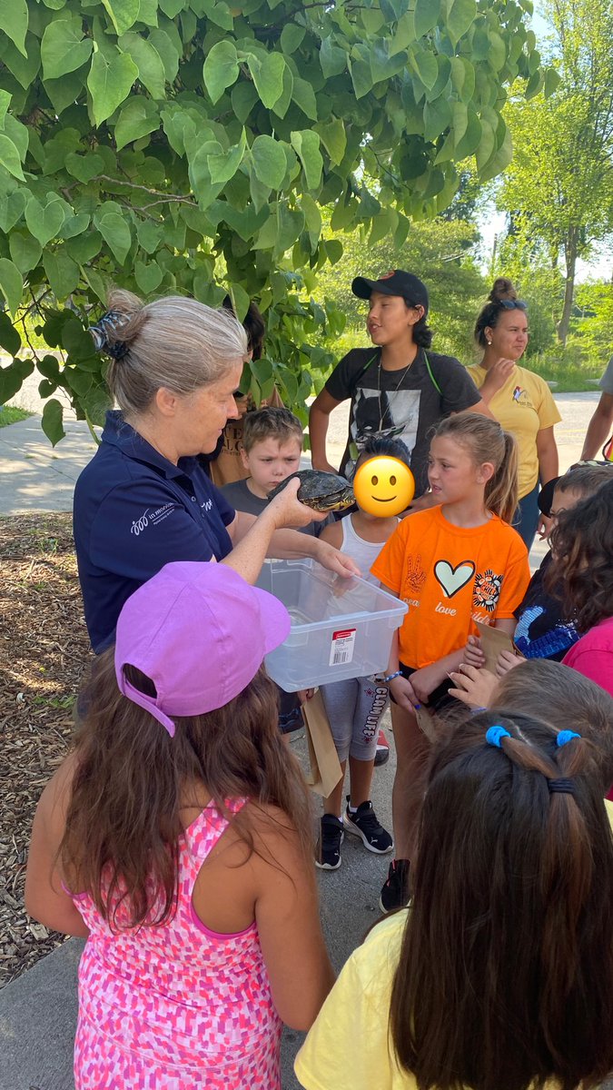 #GECDSBSLP2023 Today at #CampMigizi the K-2s learned about some invasive and native species on a walk <a href="/OjibwayPrairie/">OjibwayNatureCentre</a> where they collected materials to create their own stepping stones! <a href="/gecdsbpro/">GECDSB PR</a> <a href="/TinaDeCastro1/">Tina DeCastro</a> <a href="/Joseph745613165/">Zozep</a> <a href="/ClaraHowitt/">Dr. Clara Howitt</a>