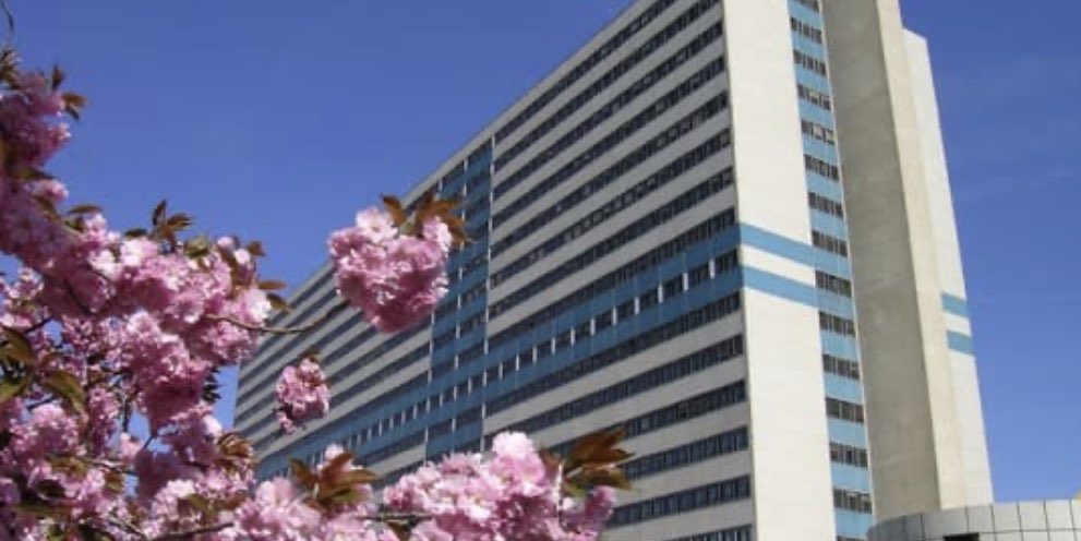 Un poste de néphrologue a pourvoir à Henri Mondor gnfb.be/poste-de-cca-a…
<a href="/PStoneOftheYear/">Pierre Delanaye</a> <a href="/francois_jouret/">Francois JOURET</a> @er_goffin <a href="/JohannMorelle/">Johann Morelle</a> <a href="/KathleenClaes1/">Kathleen Claes</a> <a href="/gertmeeus_MD/">Gert Meeus</a>