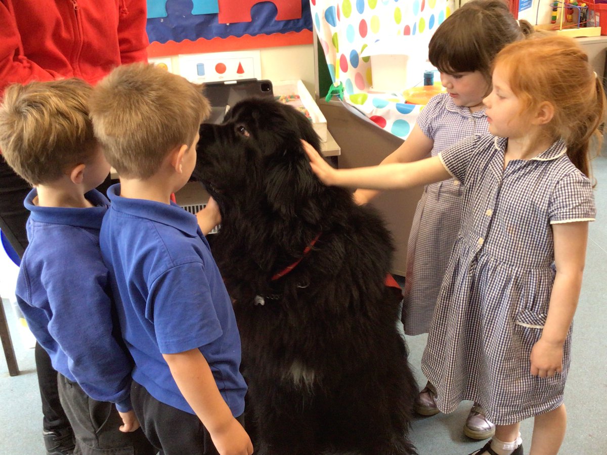 Prynhawn bendigedig yn cwrdd â Sarah a’i chi therapi, Kubeba. <a href="/CariadPet/">Cŵn Cymorth Cariad / Cariad Pet Therapy</a> <a href="/ysgoliachsirgar/">Ysgol Iach Sir Gâr</a>