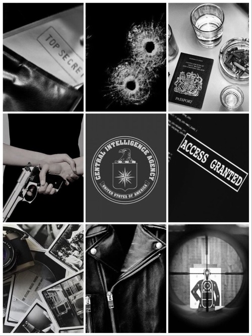 Jack Ryan ~CIA Special Agent    
~Former Navy Seal  
~Freshly Graduated Agent 
~Confident, Charismatic 
~Roleplay/Sidelines/Banter    

I may have just graduated the CIA Academy but one day I will run it! - Jack Ryan