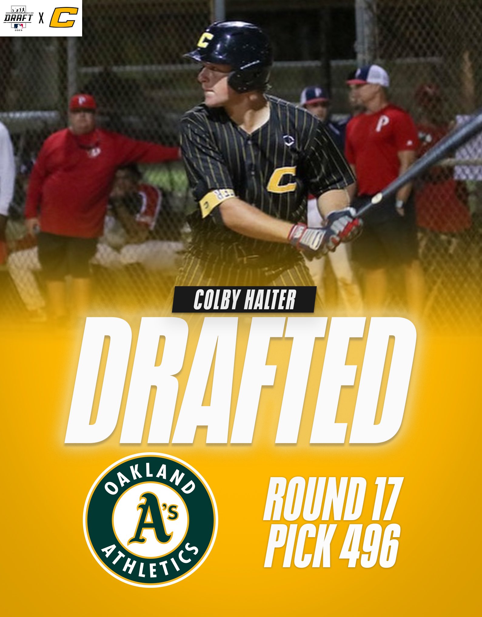 Canes Baseball on Twitter "Canes Alum colbyhalter (University of