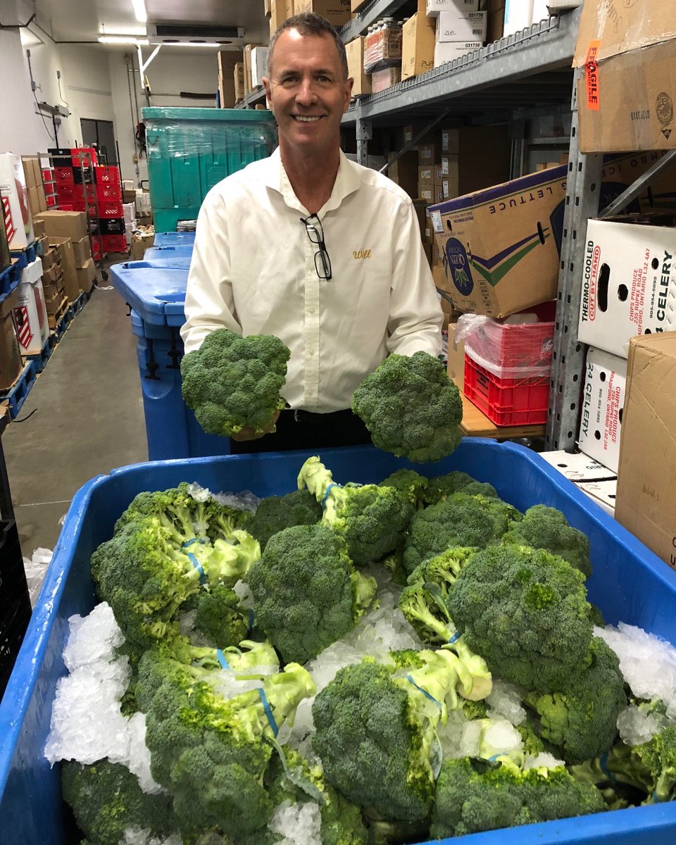 SunripeFresh's tweet image. Our famous broccoli is back! 🌱🥦 Head over to your nearest Sunripe to grab the local broccoli that was picked this morning. As someone who grew up next to this farm, I can vouch for its freshness! #FarmToTable #FreshVeggies #Broccoli #Sunripe