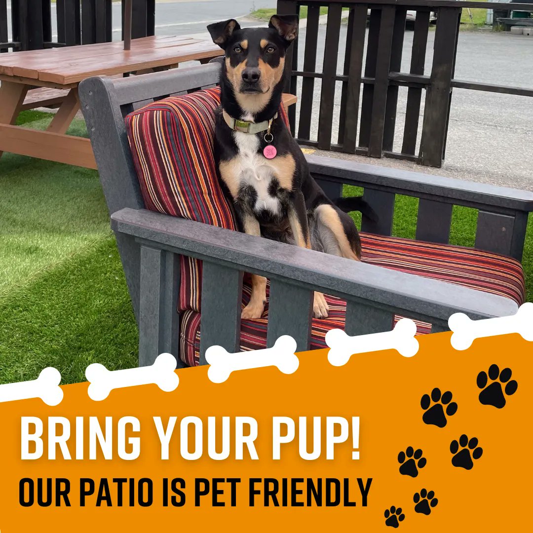 SpearheadBeer's tweet photo. Want to enjoy a beer in the sun but feel guilty about leaving you fluffy friend at home?! Don't worry the Spearhead patio is pet friendly. We will provide water bowls!! 🐶🐾

👉Book a table today and enjoy a drink with man's best friend - https://t.co/0rxpqu2uVa https://t.co/77un4Yuamb