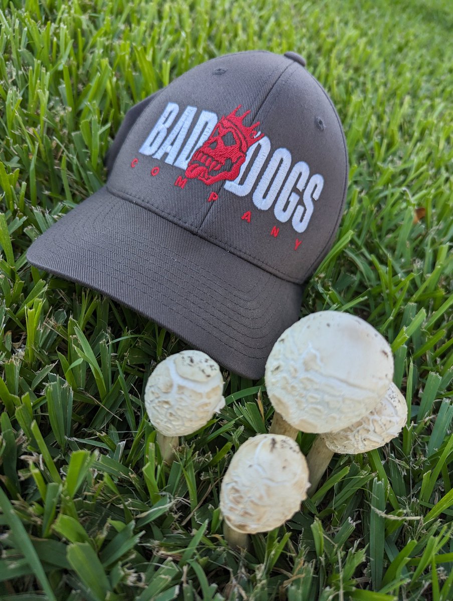 MetsukoNFT's tweet photo. Go touch grass... PSA don't eat random shrooms... @BadDogsCompany #BadDogsDaysOfNature https://t.co/7sGmKzkH9I