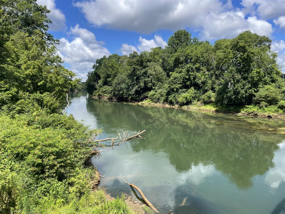 Thomas & Hutton tweet media