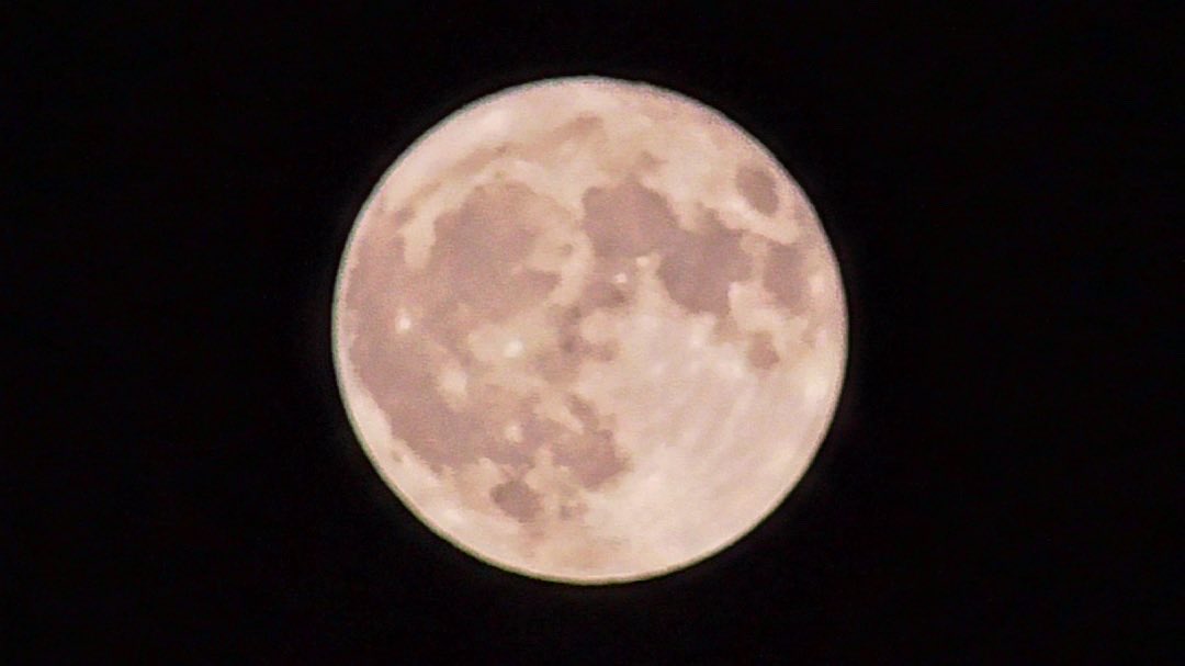 La magia di quel puntino luminoso che vedi alzando gli occhi al cielo di sera.

🌕 #luna #lunapiena #moon #moonlight #fullmoon #magia #magic 🌕