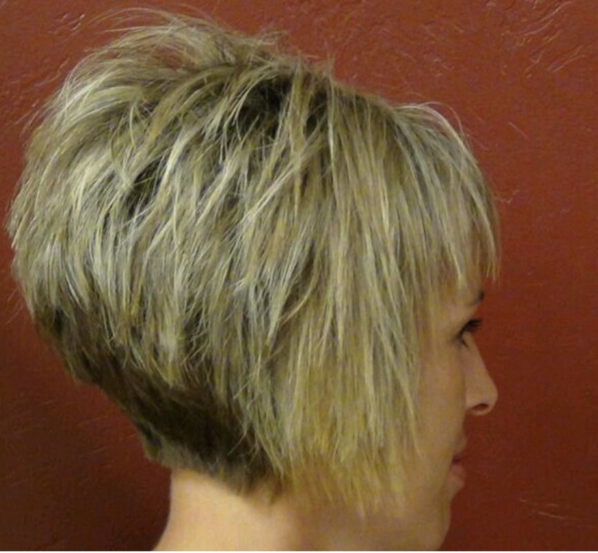 What that anti pronouns lady is gonna give you when you ask for short hair