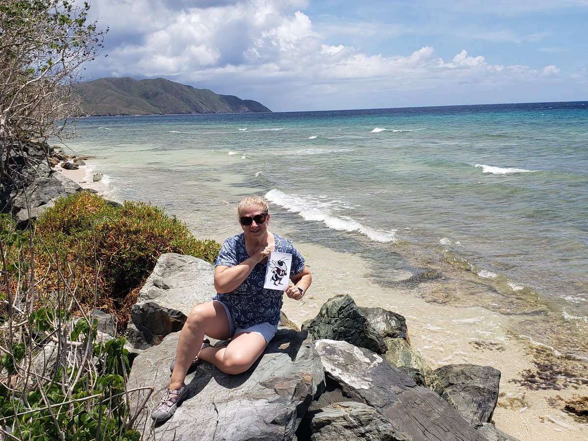 #Flathornet attended the Content Teaching Academy at JMU last week with Ms. Hatch and Ms. Lynham AND went to St. Croix with Ms. Pratz! Where will he go next??