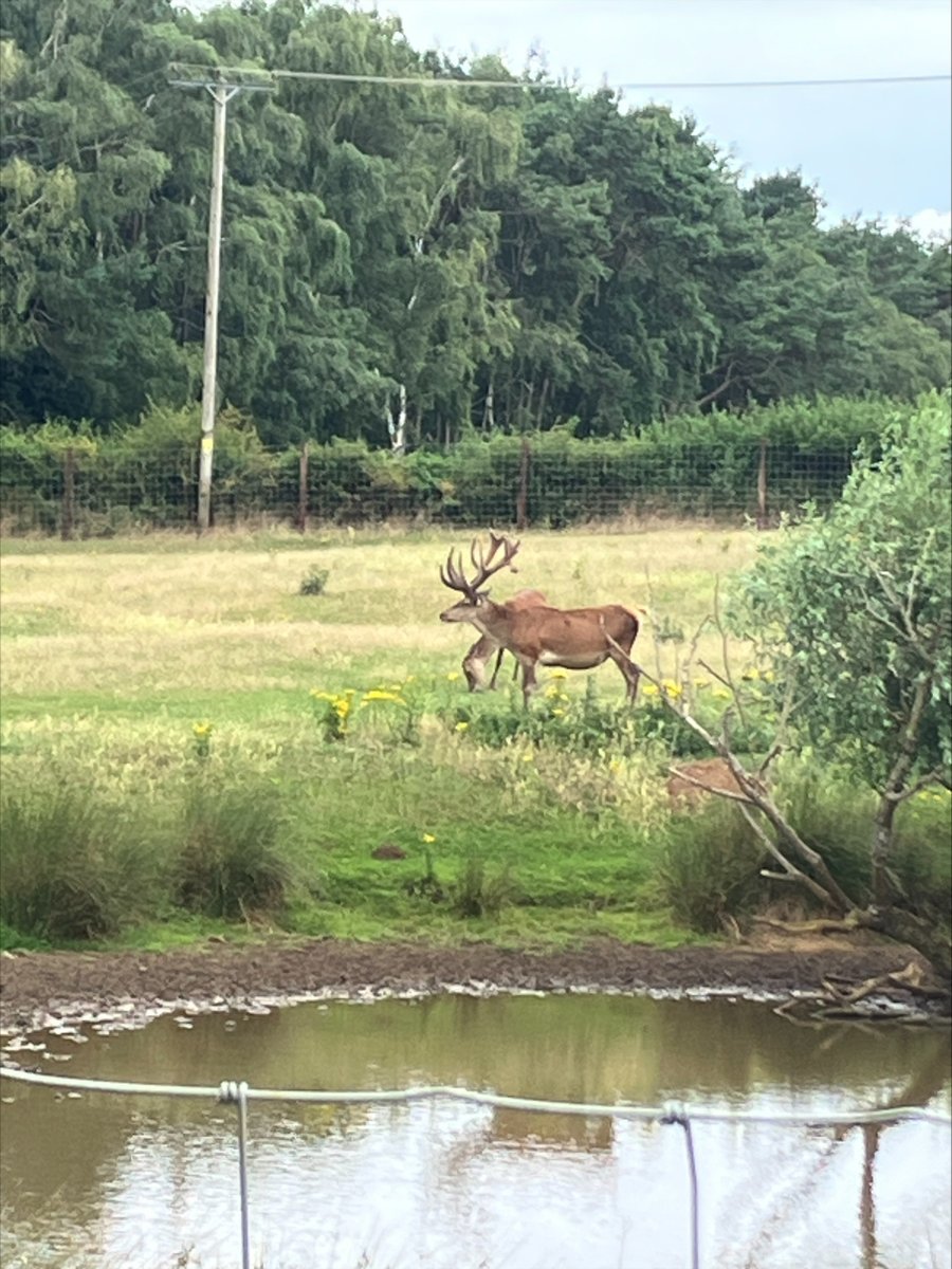Y10 enjoying work experience today!
#Careers #workexperience #edutwitter