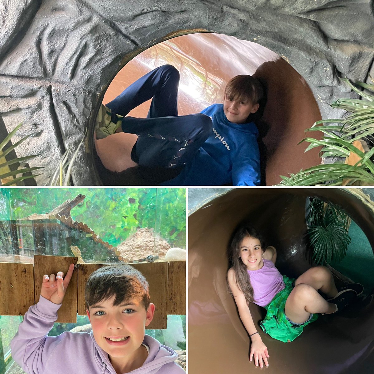 Walgrave Primary School tweet media